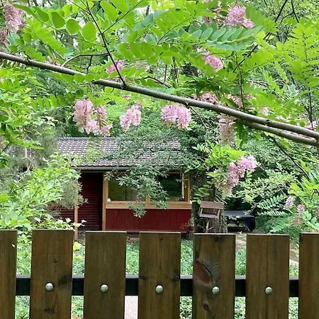 Apartment Cinke Cottage, Nest In Nature Kismaros