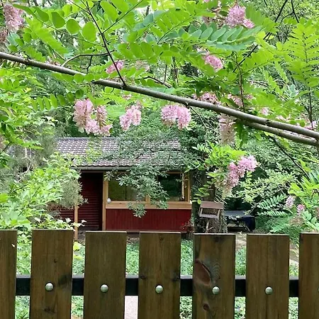 公寓 Cinke Cottage, Nest In Nature Verőcemaros