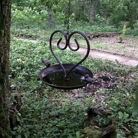 Cinke Cottage, Nest In Nature