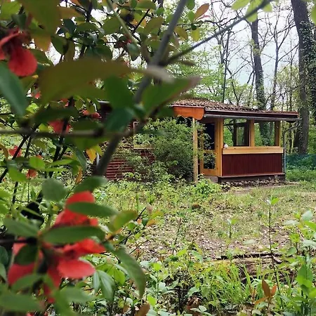Cinke Cottage, Nest In Nature * Kismaros