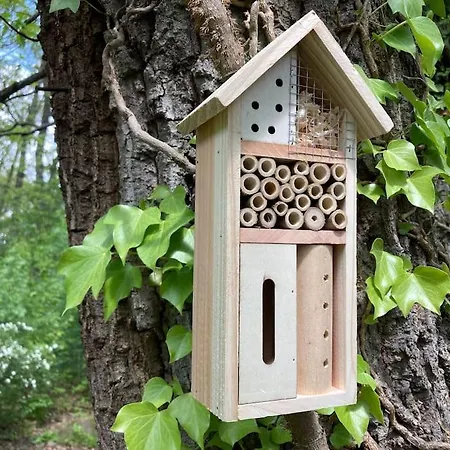 Cinke Cottage, Nest In Nature Kismaros