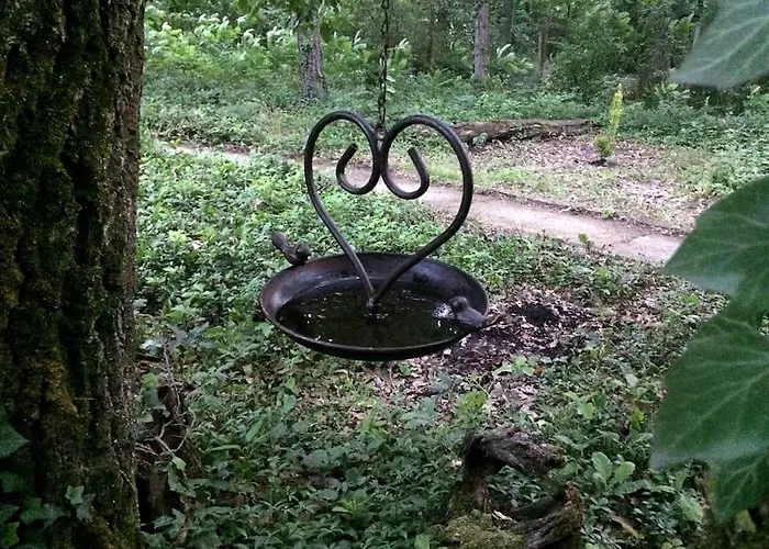 Cinke Cottage, Nest In Nature