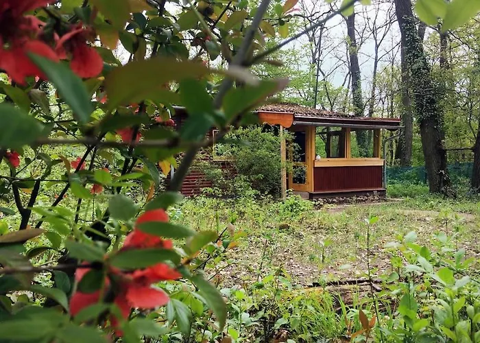Cinke Cottage, Nest In Nature * Verőcemaros