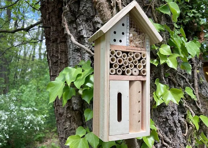 Cinke Cottage, Nest In Nature Kismaros